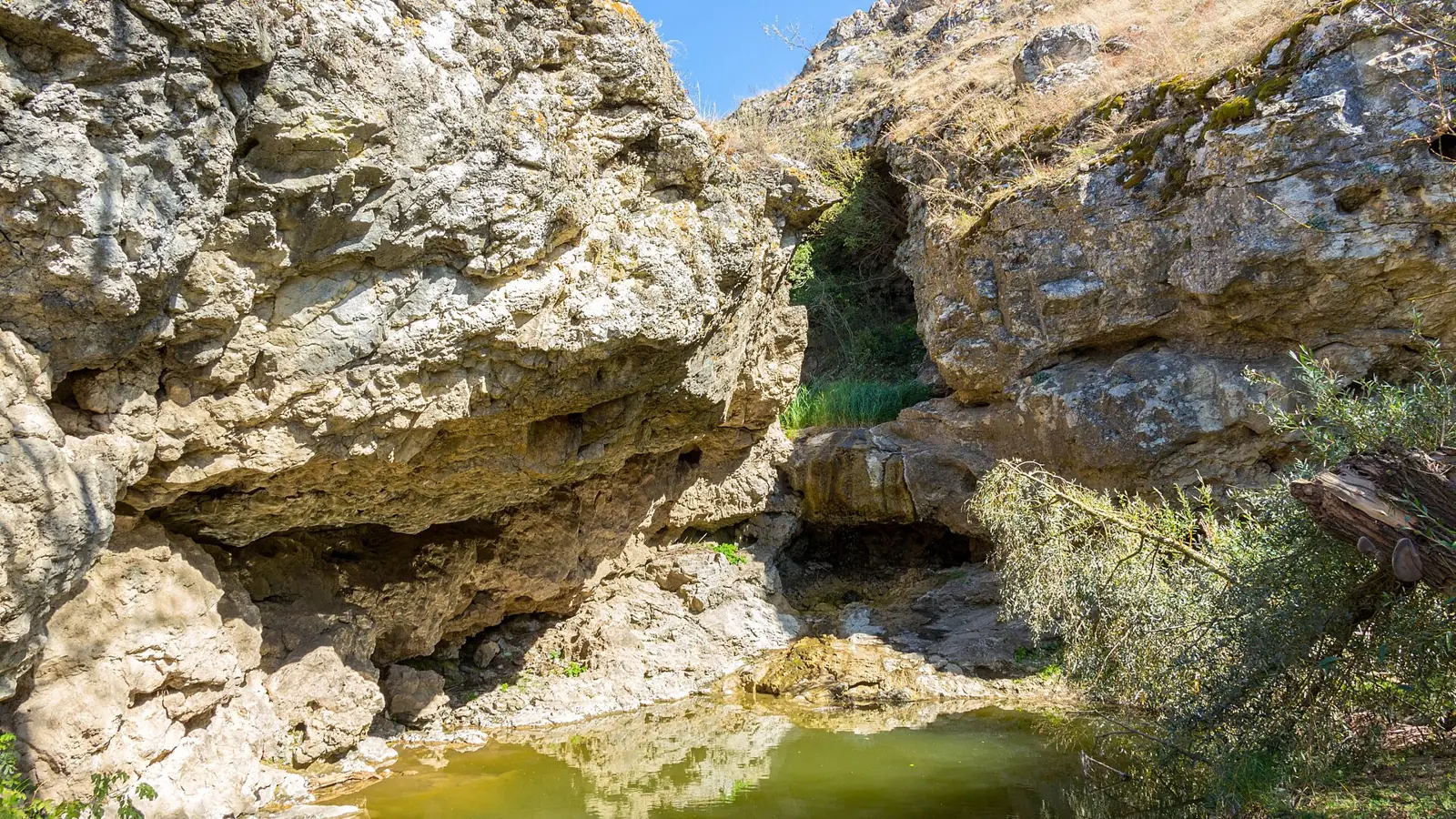 Cascada Șerpilor curgând între pereții de calcar ai Defileului Văratic